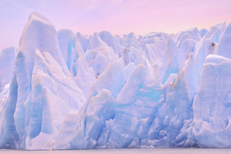 Frozen giants Lago Grey glacier icebergs Photograph by Giovanni Allievi