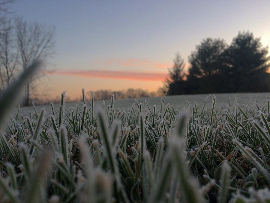 Frozen grassy field Photograph by Brian Bueno / FOAP