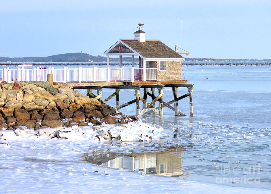 Frozen harbor and reflections Photograph by Janice Drew