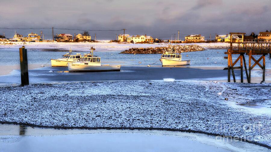 Frozen Harbor Photograph by Steve Brown