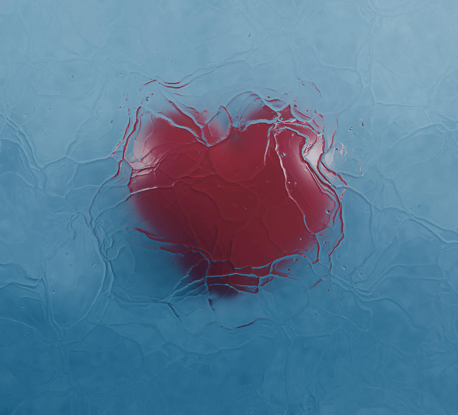 Frozen Heart Under the Blue Wather Photograph by Oxygen