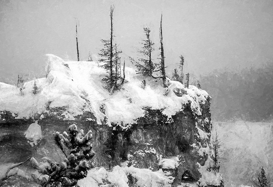 Frozen In The High Country Digital Art