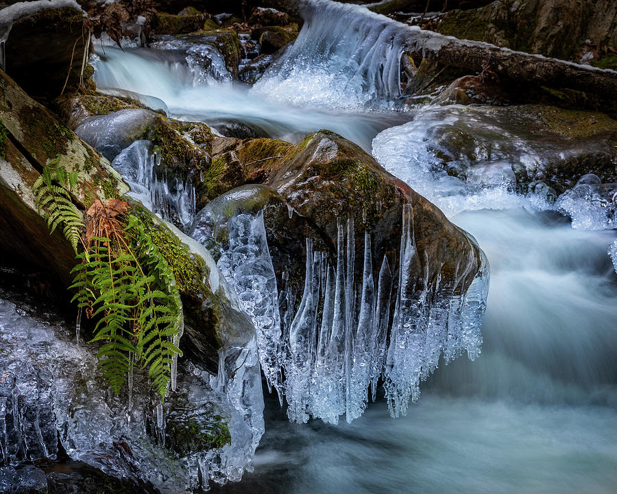 Frozen in Time Photograph by Bill Wakeley