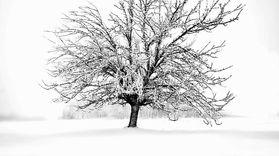 Frozen in Time by Bryan Smith Frozen in Time by Bryan Smith