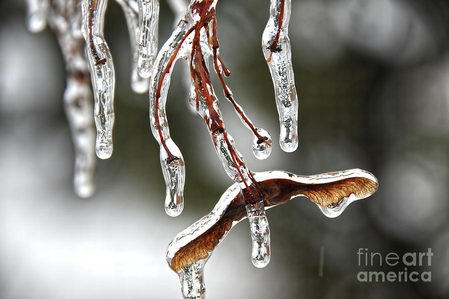 Frozen in time.. Photograph by Jolanta Anna Karolska