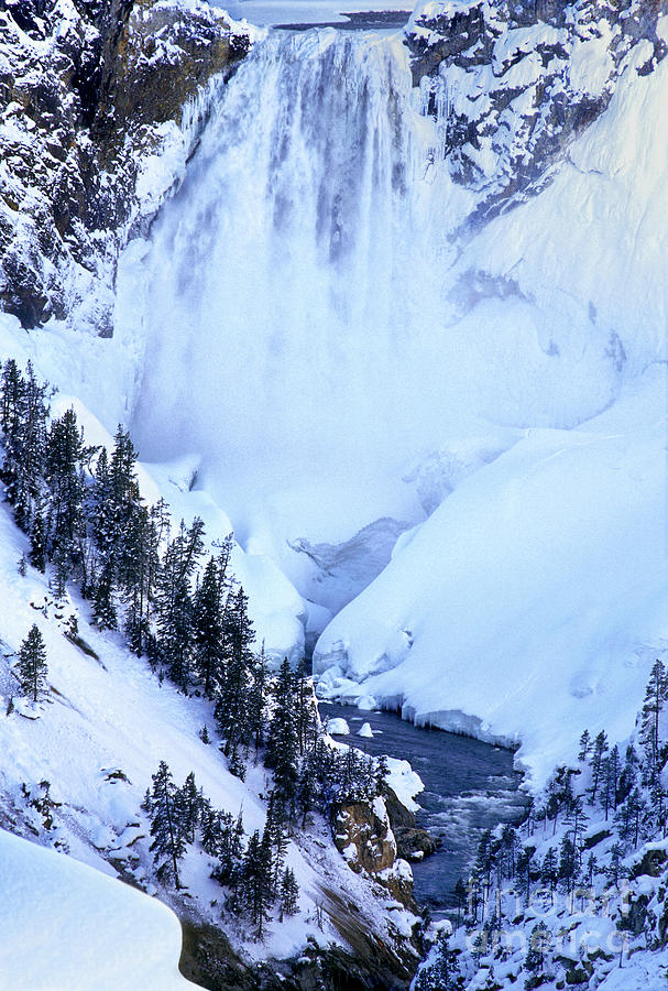 Frozen in Time Yellowstone National Park Photograph by Dave Welling