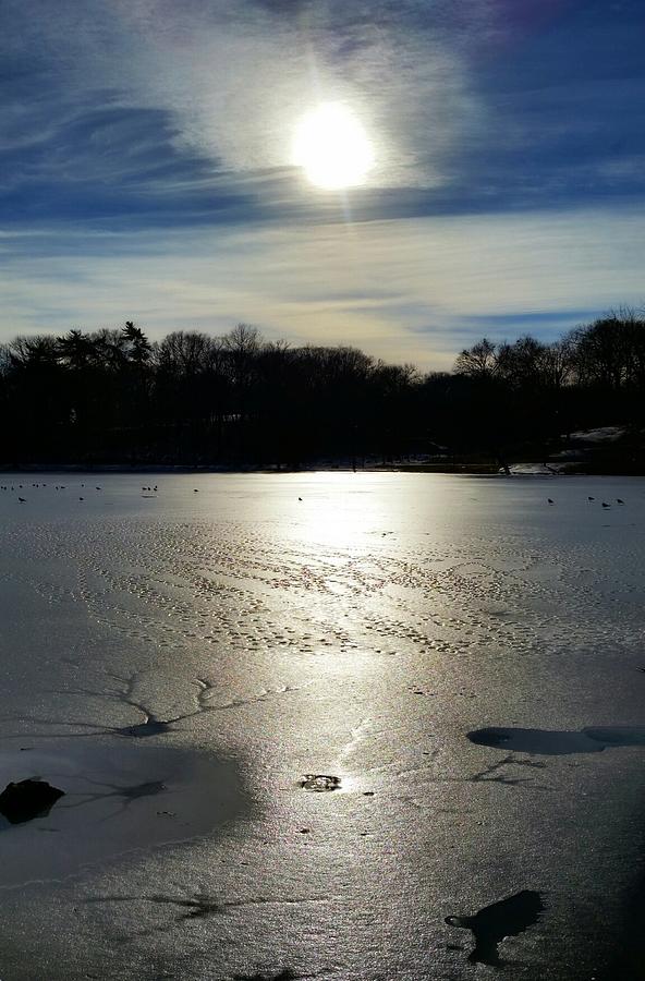 Frozen Lake at Shelby Park  Photograph by Ally White