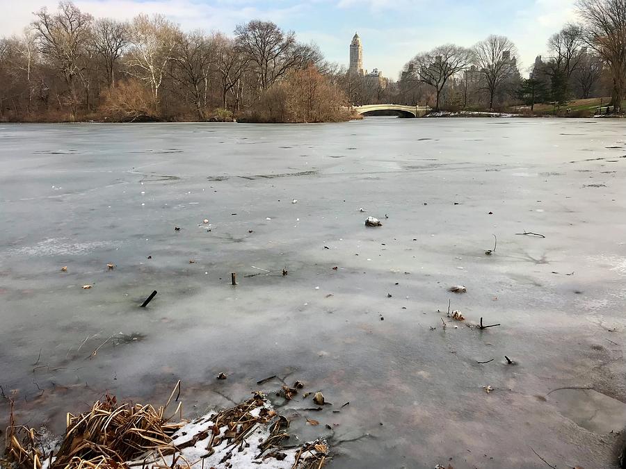 Frozen Lake, NYC in December Photograph by Judy Frisk