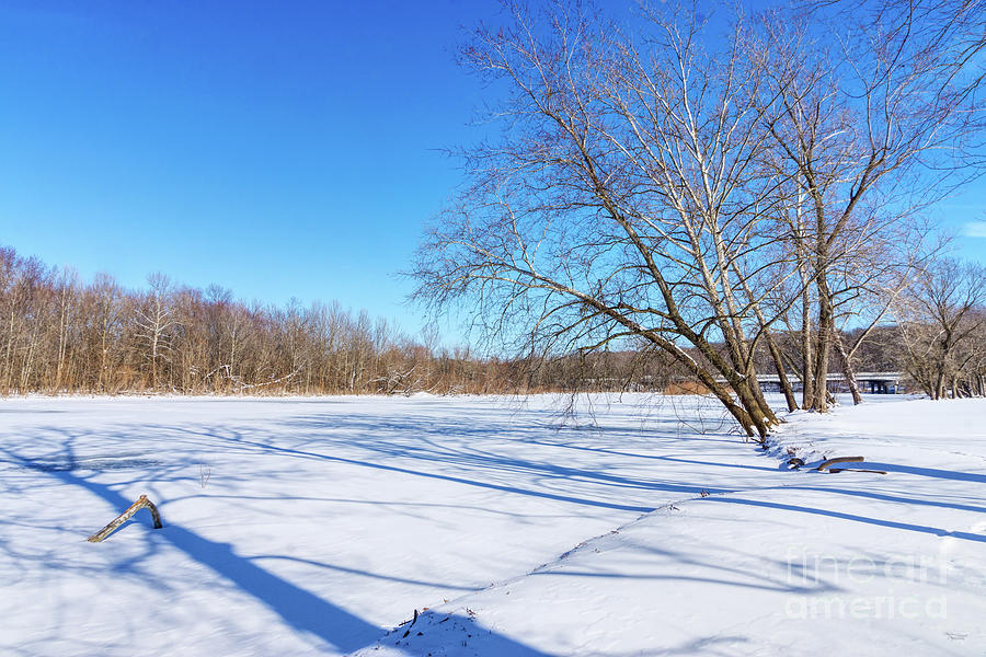 Frozen Lake Springfield Photograph by Jennifer White