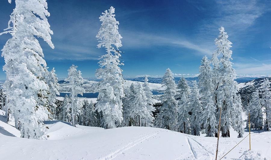Frozen Lake Tahoe Photograph by Judy Harrison Fine Art America