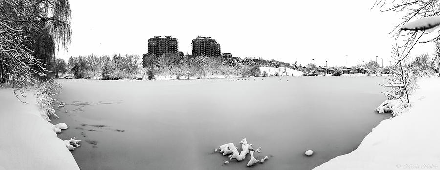 Frozen Lakefront in Black and White Photograph by Nicola Nobile