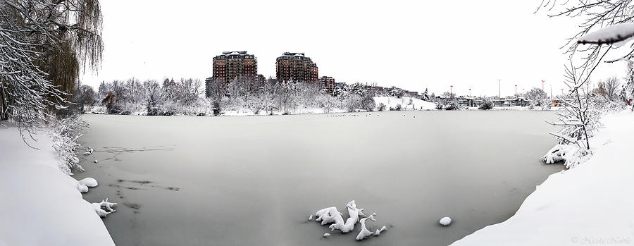 Frozen Lakefront Photograph by Nicola Nobile