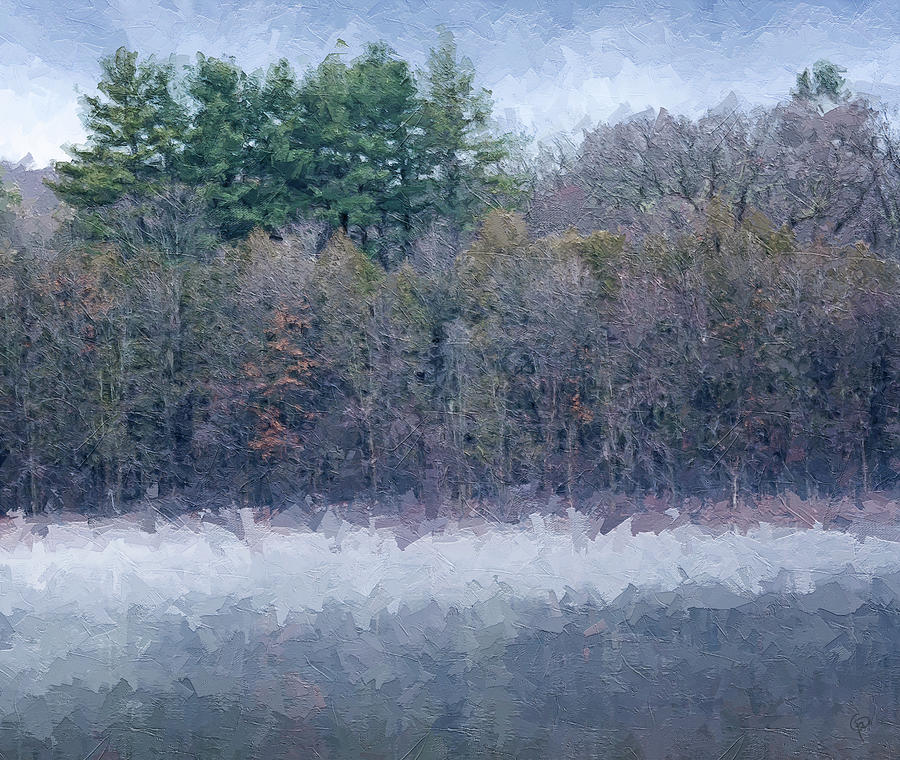 Frozen Lakeside Digital Art by George Pennington