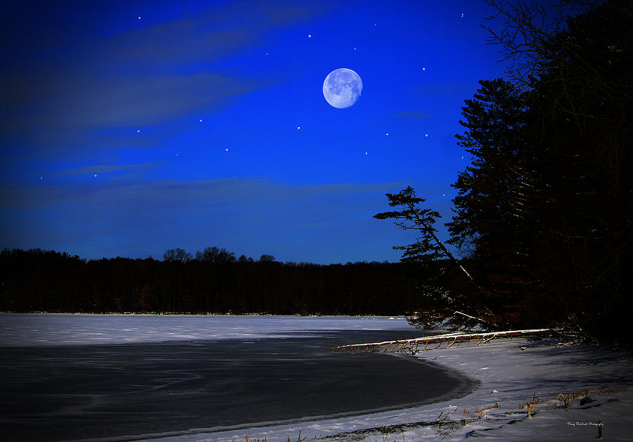 Frozen Moonlight Bay Photograph by Mary Walchuck