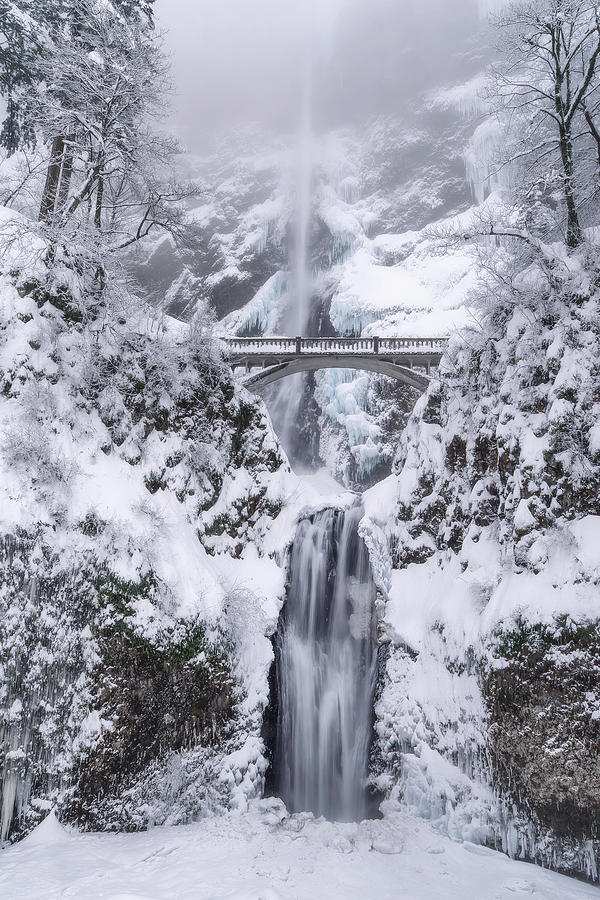 Frozen Multnomah Falls Photograph by Wes and Dotty Weber