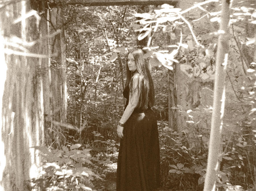 Frozen - Myna Aranea still no. 39 Photograph by Sv Bell Frozen - Myna Aranea still no. 39 Photograph by Sv Bell
