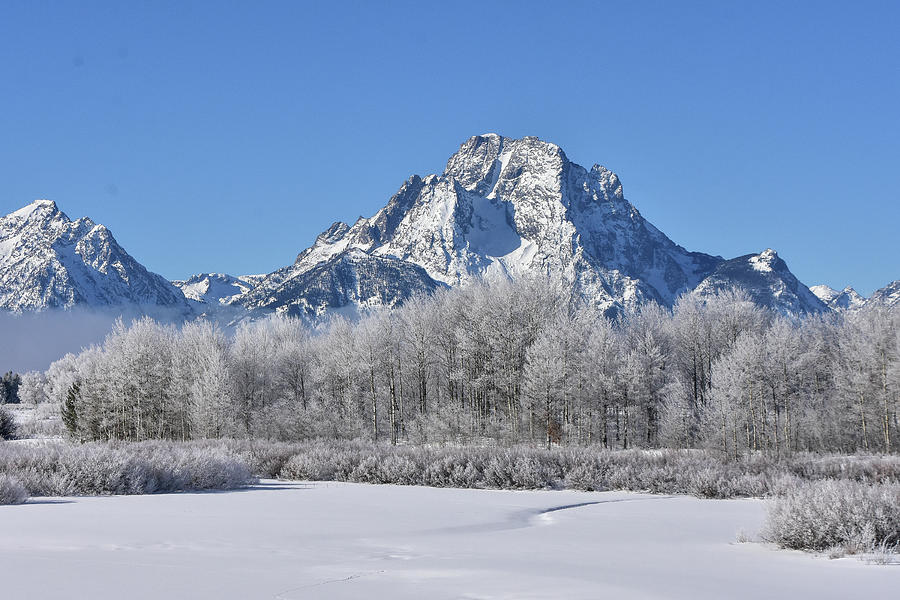 Frozen Oxbow Bend Photograph by Ed Stokes