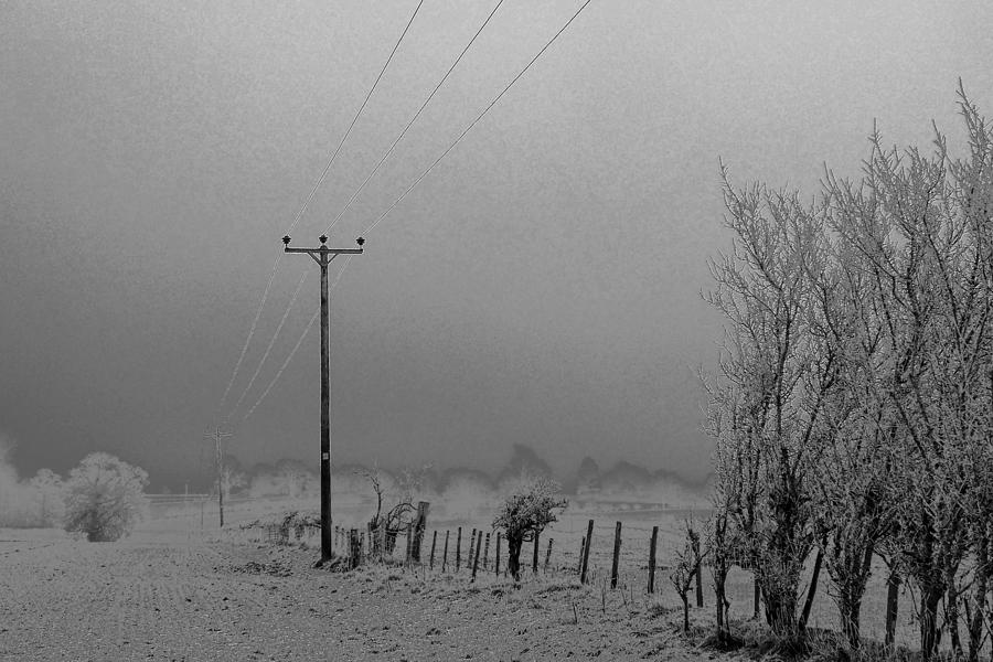 Frozen Poles Photograph by Justin Farrimond