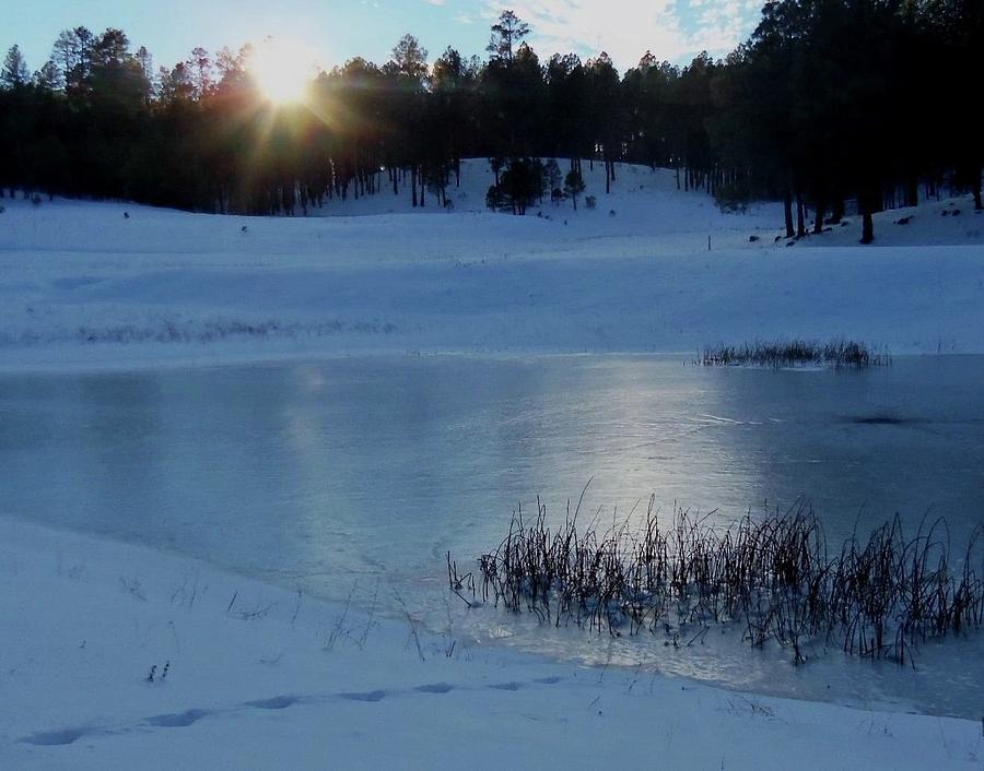 Frozen Pond Photograph by Caroline Haldeman - Fine Art America