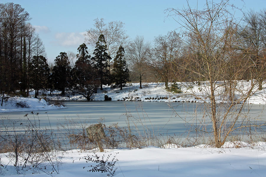 Frozen Pond Photograph by Carolyn Stagger Cokley