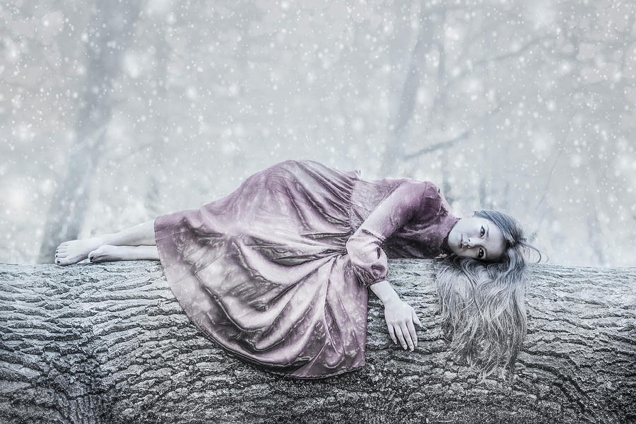 Frozen Princess - Winner Photo Competition Photograph by Joana Kruse