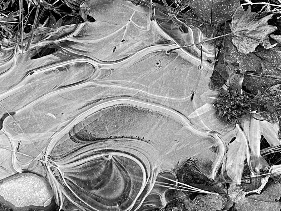 Frozen Puddle BW Photograph by Lee Darnell