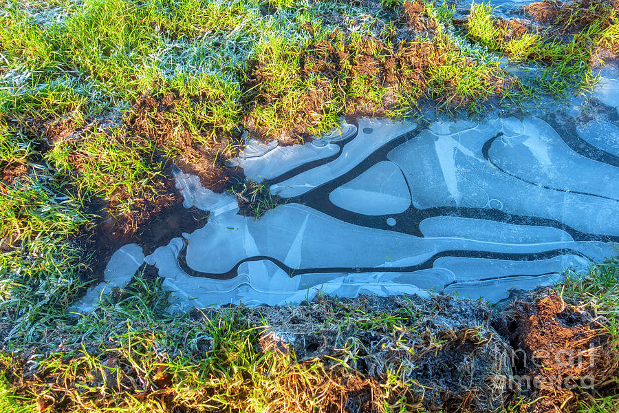 Frozen puddle in the grass Photograph by Louise Heusinkveld