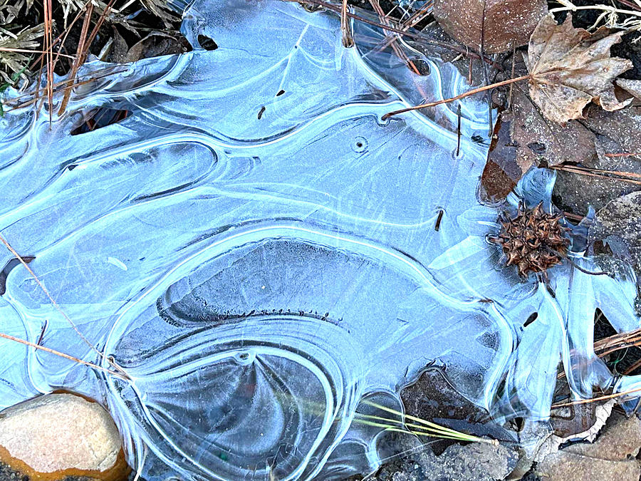 Frozen Puddle Photograph by Lee Darnell
