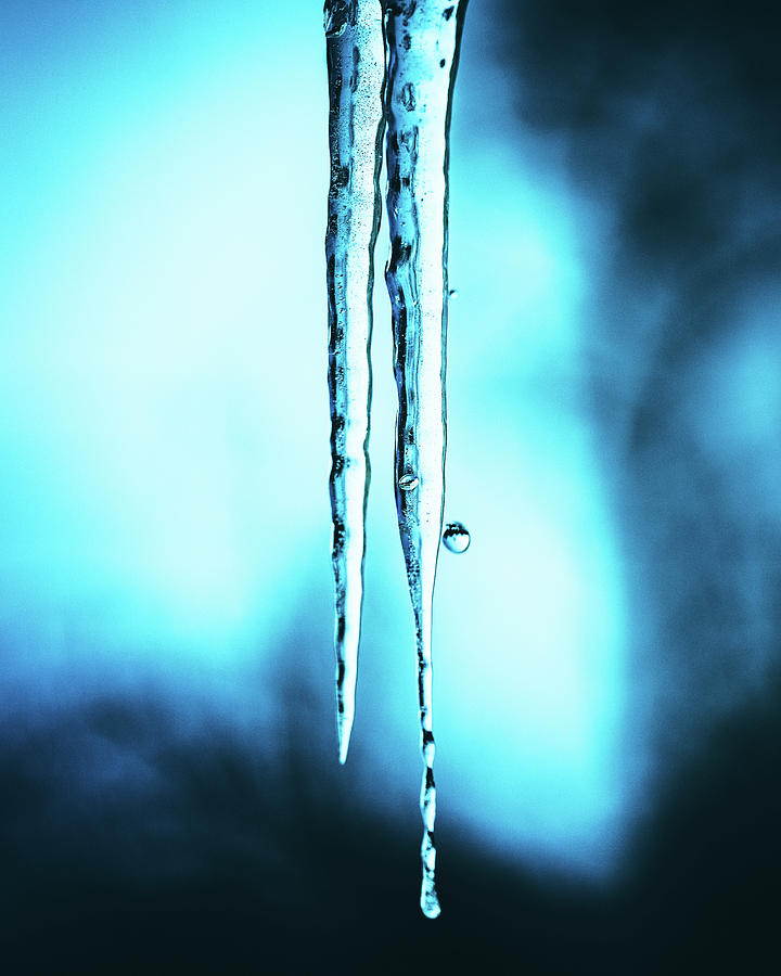 Frozen Photograph by Rich Kovach