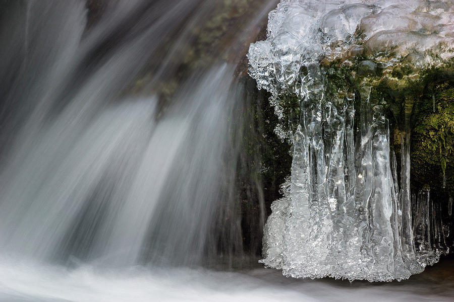 Frozen river banks Photograph by Olivier Parent