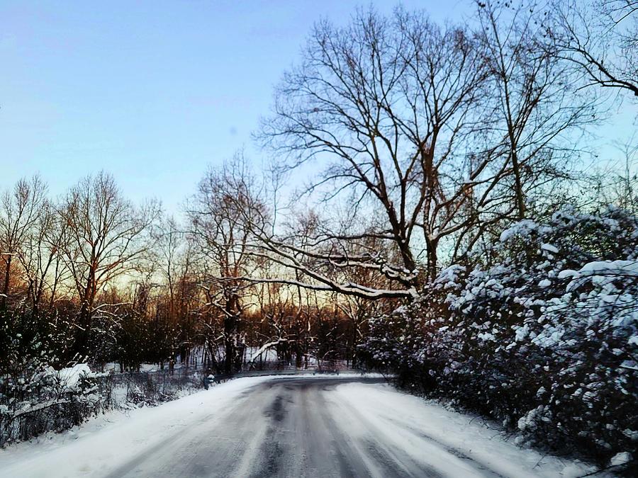 Frozen Road Photograph by Ally White