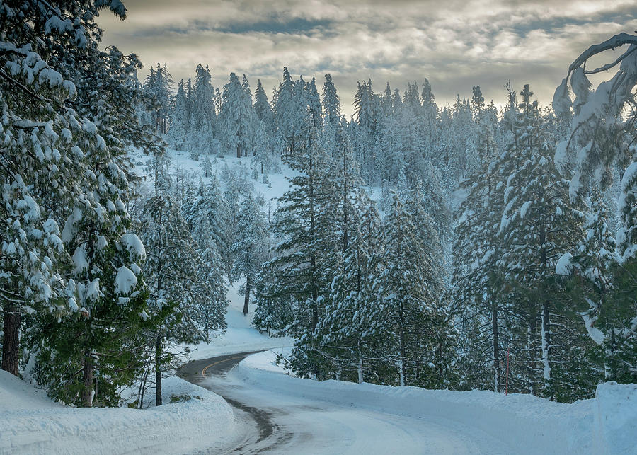 Frozen road highway 120 towards Yosemite 2 Photograph by Alessandra RC