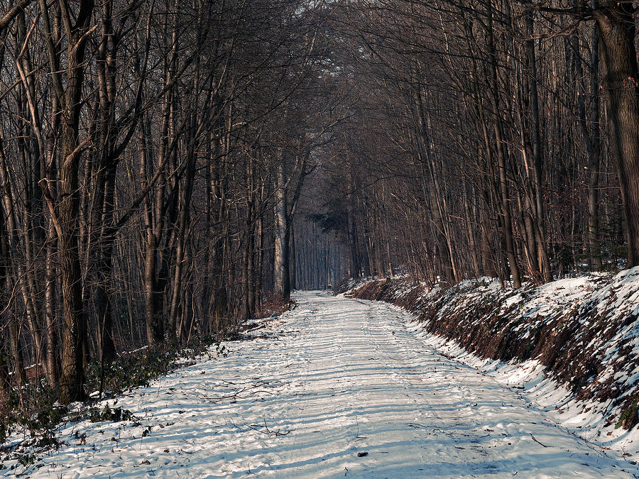 Road Photograph - Frozen Road by Jussi Laasonen Road Photograph - Frozen Road by Jussi Laasonen