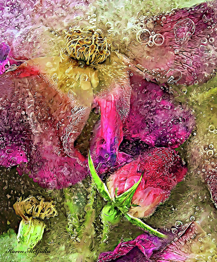 Frozen Roses Photograph by Karen McGillis Pixels