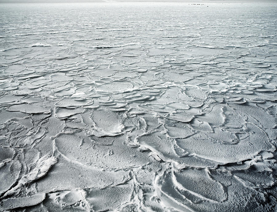 Frozen sea Photograph by David Trood