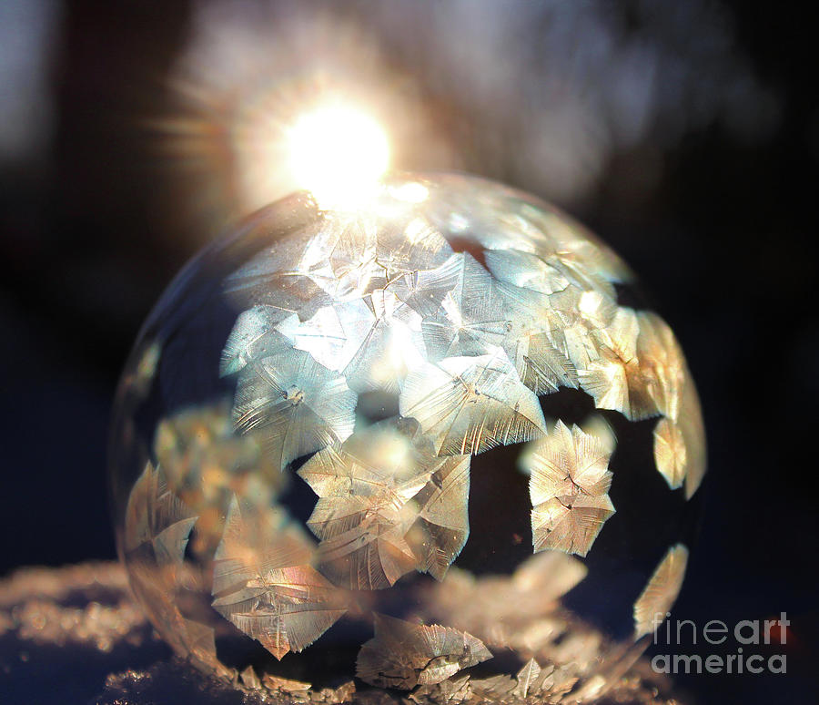 Frozen Soap Bubble Beauty Photograph by Nina Silver