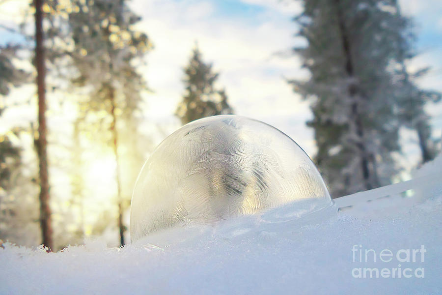 Frozen soap bubble Photograph by Delphimages Photo Creations