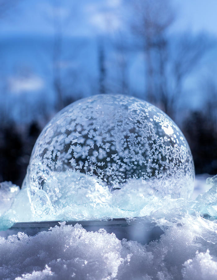 Frozen Soap Bubble In Winter Photograph