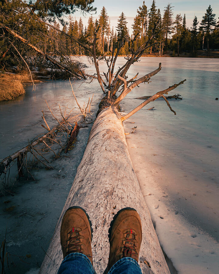 Frozen Solitude Photograph