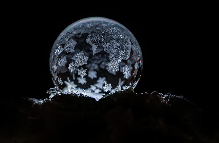 Frozen stars Photograph by Jaroslaw Blaminsky