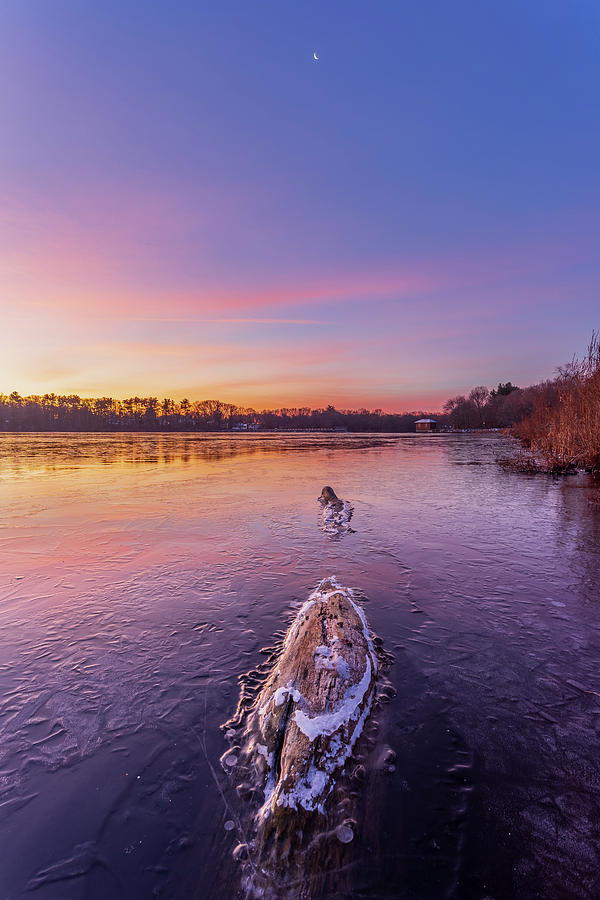 Frozen Sunrise Photograph by Bryan Bzdula