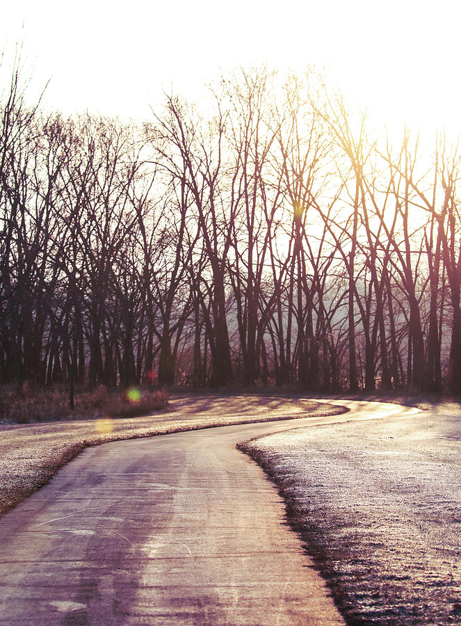 Frozen Sunrise Path Photograph by Dan Sproul