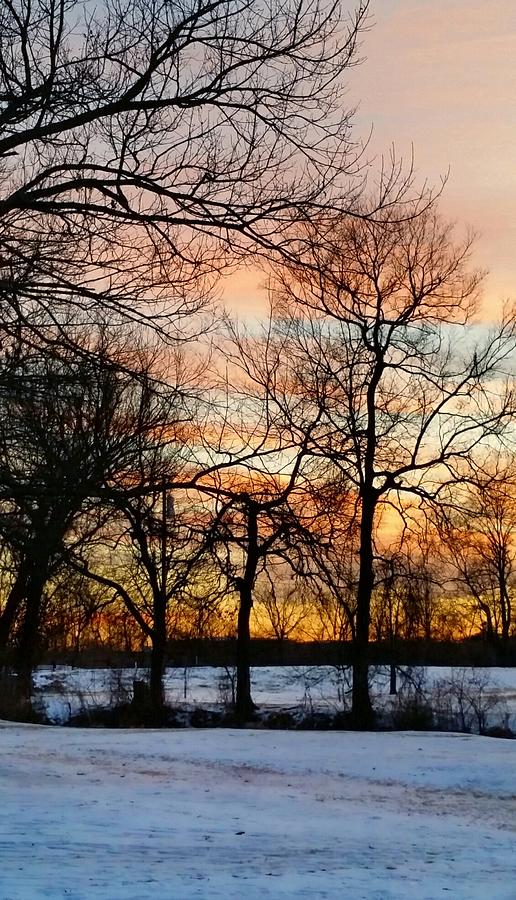 Frozen Sunset  Photograph by Ally White