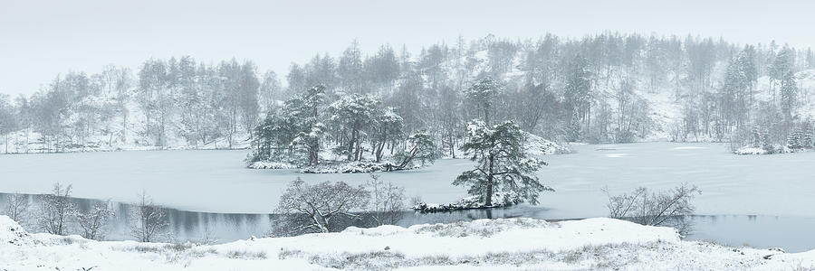 Frozen Tarn Hows Covered in Snow Lake District Photograph by Sonny Ryse