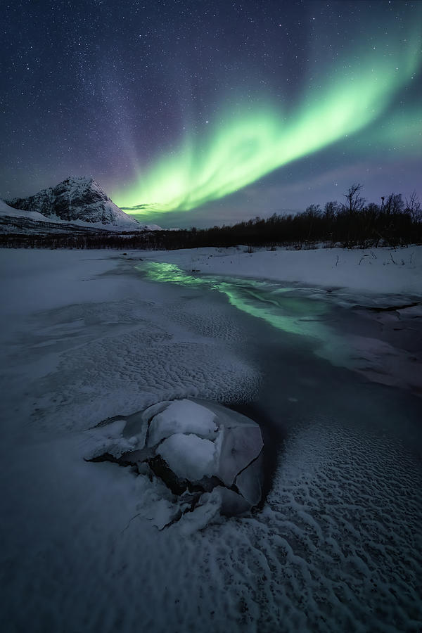 Frozen Photograph - Frozen by Tor-Ivar Naess Frozen Photograph - Frozen by Tor-Ivar Naess