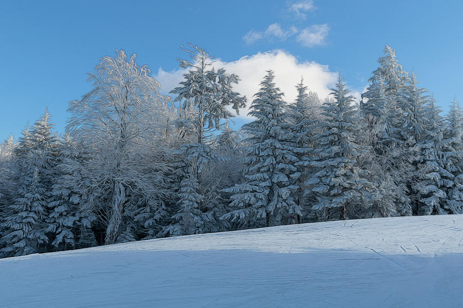 Frozen trees along the ski trail with white cloud paintgraphy Photograph by Dan Friend