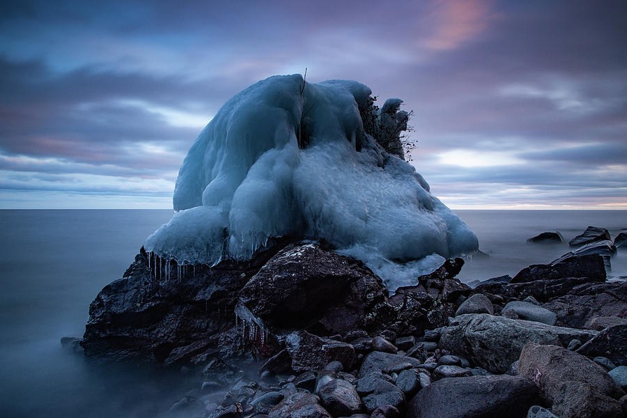 Frozen Trees and Rocks Photograph by Joe Kopp