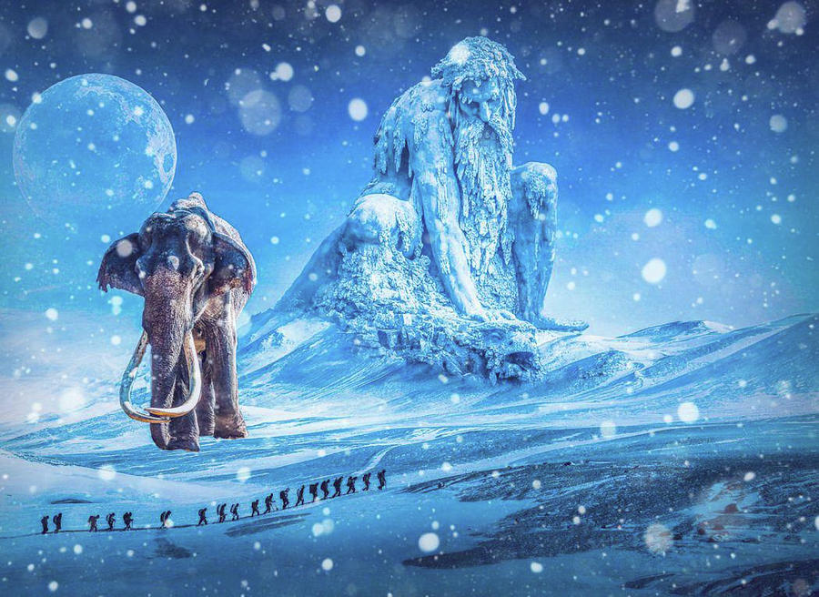 Frozen Tundra Mixed Media by Rhonda Barrett