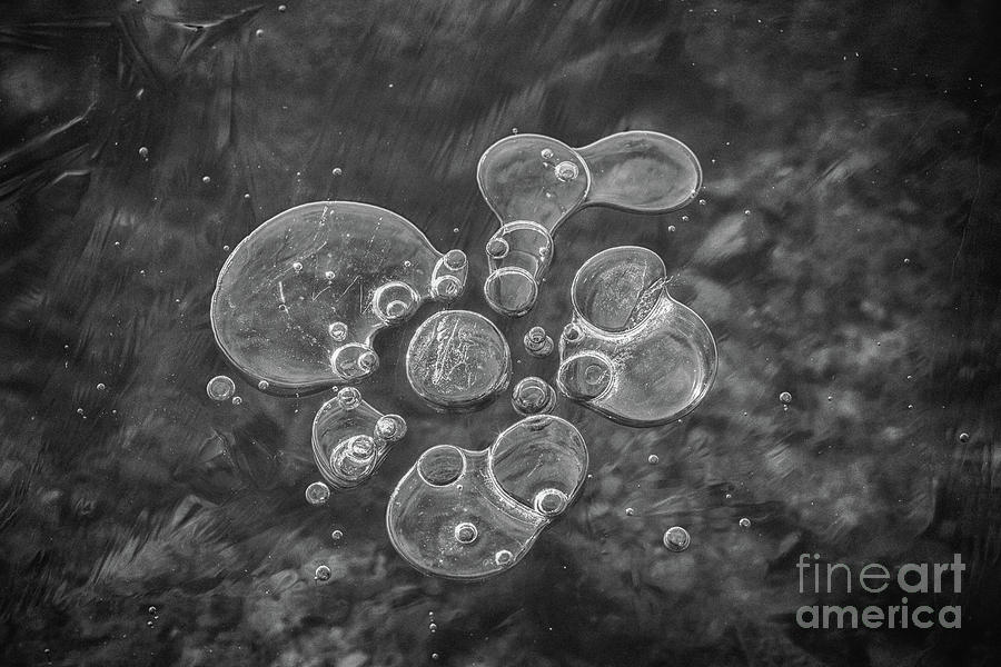 Frozen Water Air Bubbles Black and White Digital Art by Randy Steele