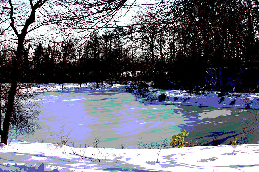 Frozen Winter Pond Photograph by Carolyn Stagger Cokley